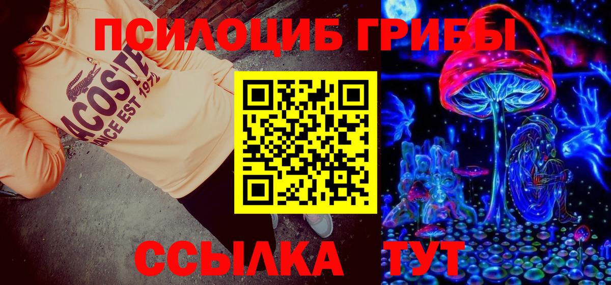 Галлюциногенные грибы Psilocybine cubensis Ирбит